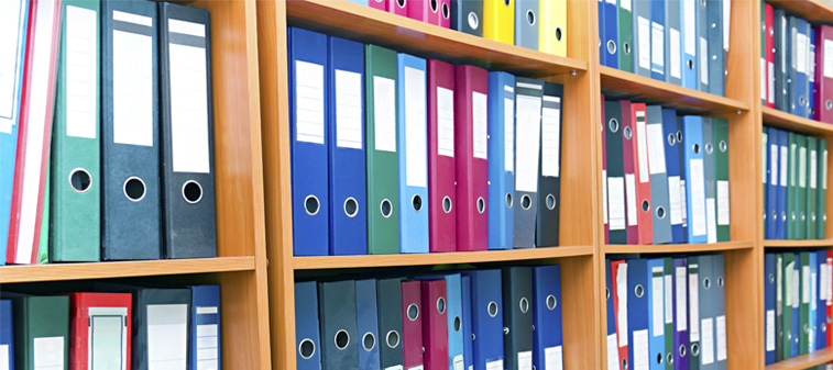 file folders, standing on the shelves